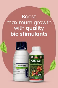 Bio Stimulants
