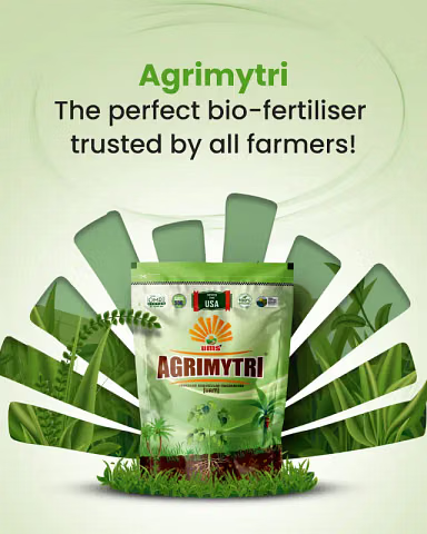 Bio Fertiliser